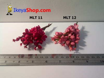 MLT 11 12  large2